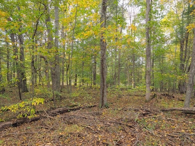 TBD Fairlake Ln, Laurel Fork, VA 24352 - photo 3