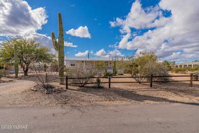 Chacoan-2