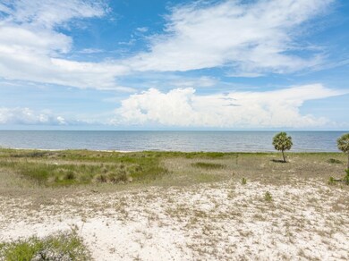 722 Bald Point Rd, Panacea, FL 32346 - photo 6