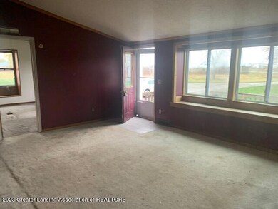 7901 E Carson City Rd, Carson City, MI 48811 - photo 4