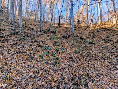 Lot 339 Ridgefield Dr, Sevierville, TN 37876 - photo 3