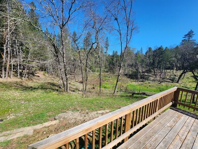 view from back deck