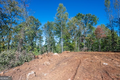 3887 Hwy 140 NE, Rydal, GA 30171 - photo 4