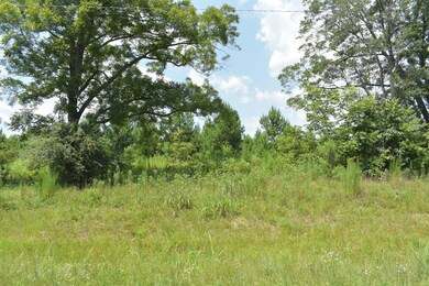 LOT 42 Willow Oak Ln, Garfield, GA 30420 - photo 3