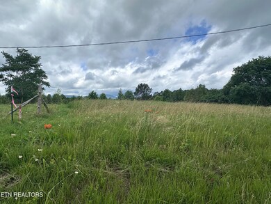 IMG_8581