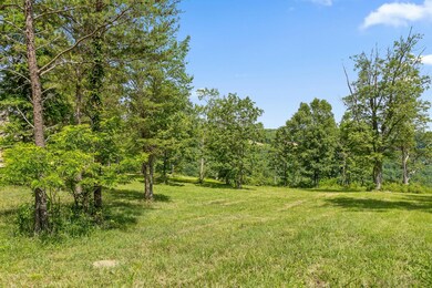 0 Sunset Cir unit 1505065, Jasper, TN 37347 - photo 6