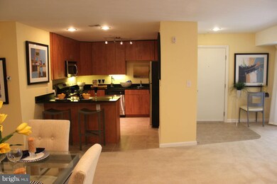1138 Cove Rd unit 301, Annapolis, MD 21403 - photo 7