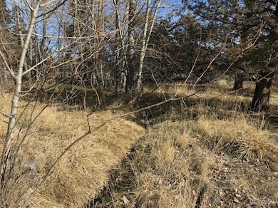 4402 SW Lava Ave, Redmond, OR 97756 - photo 6