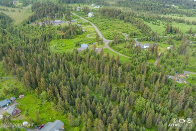 34960 Seabury Ct, Anchor Point, AK 99556 - photo 3