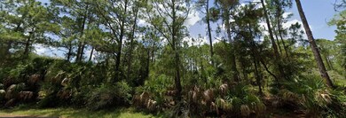 0 Jericho Ave unit MFRC7512706, North Port, FL 34288 - photo 4