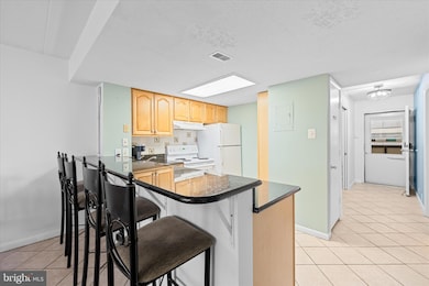 Sea Watch, Ocean City, MD 21842 - photo 6