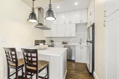 411 Shawmut Ave unit 4, Boston, MA 02118 - photo 7