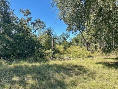 0 NE 35th Ave unit MFRGC535346, Bronson, FL 32621 - photo 7