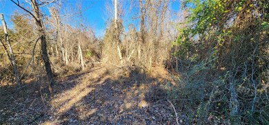 12 Cheddar Dr, Bella Vista, AR 72715 - photo 5