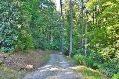 172 Cold Springs Rd, Hendersonville, NC 28792 - photo 3