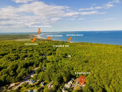 5-web-or-mls-DJI_0007