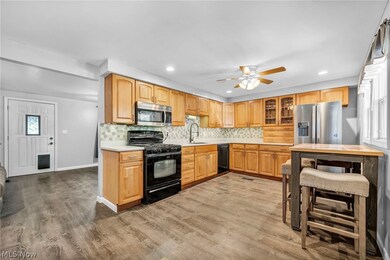 Kitchen with a wealth of natural light, appliances with stainless steel finishes, sink, hardwood / wood-style flooring, and ceiling fan
