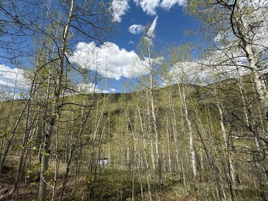 0 S Silver St unit 13-14 43499, Rico, CO 81332 - photo 4