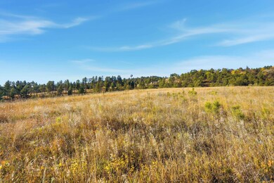 Lot17C W Minnesota St, Rapid City, SD 57701 - photo 2