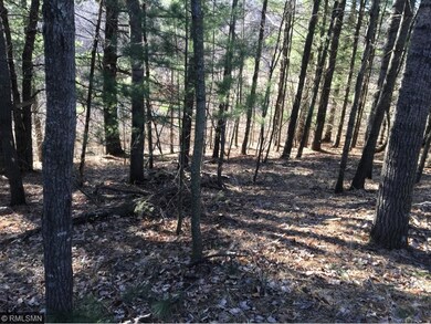 Looking back to Pine Island Point Trail from cente