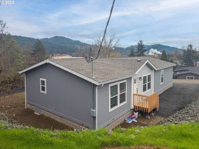252 NE 3rd St, Oakland, OR 97462 - photo 2
