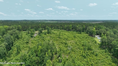 00 Lindsey Rd, Eclectic, AL 36024 - photo 5