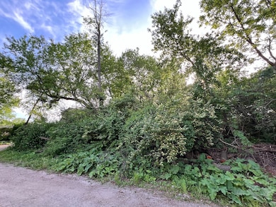 10401 Kenilworth Ave, Algonquin, IL 60102 - photo 2