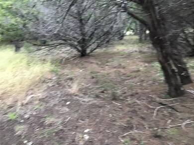 40091 Cedarcrest Dr, Whitney, TX 76692 - photo 7