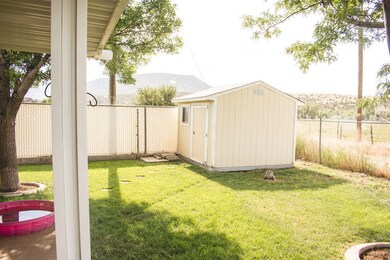 Nice Back Yard