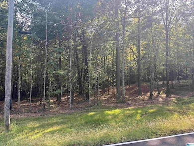 LOT 2 Morton Rd unit 2, Warrior, AL 35180 - photo 4