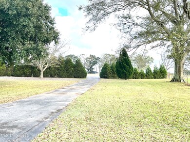 4241 Highway 613, Lucedale, MS 39452 - photo 6