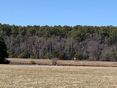 0 Seaview St unit 55, Accomac, VA 23301 - photo 5