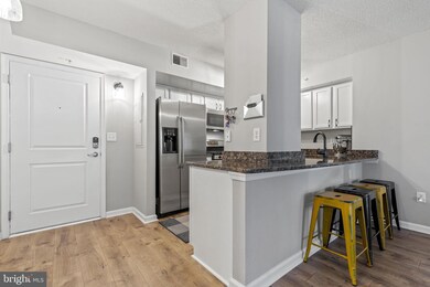 7923 Eastern Ave unit 304, Silver Spring, MD 20910 - photo 4