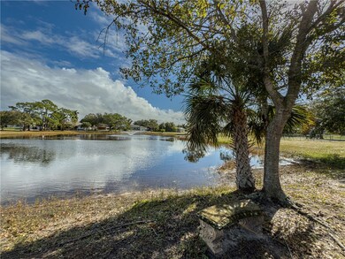 View of the pond