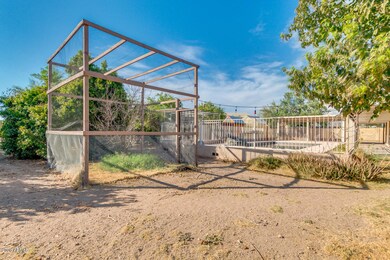 Bird-Proof Tree Enclosure
