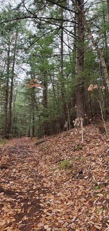 0 Pierce Rd, Chesterfield, NH 03462 - photo 2