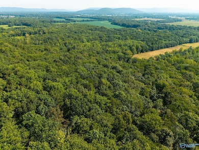 6.5 Acres Rock Spring Rd, Owens Cross Roads, AL 35763 - photo 6