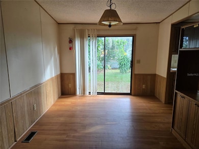 733 1st St, Polk City, FL 33868 - photo 5