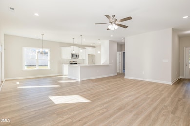 4038 N Carolina 581, Kenly, NC 27542 - photo 5