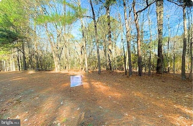 Lot 18 Peaceful Way, Exmore, VA 23350 - photo 5