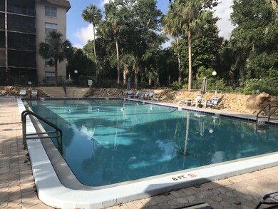 LAP POOL