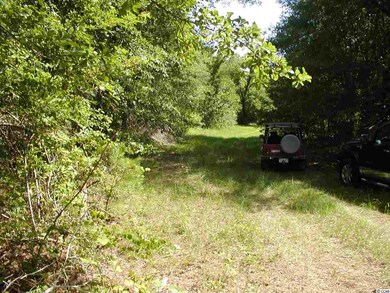 0 Sims Reach Rd, Kingstree, SC 29556 - photo 2