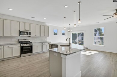 628 Thunder Gulch Ave, Lexington, SC 29073 - photo 4