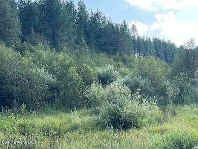 101 Pines Rd, Newport, WA 99156 - photo 3