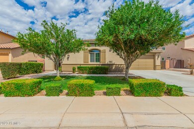556 W Sweet Shrub Ave, San Tan Valley, AZ 85140 - photo 3