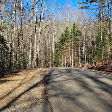 976 Dover Falls Trail, Ellijay, GA 30540 - photo 6