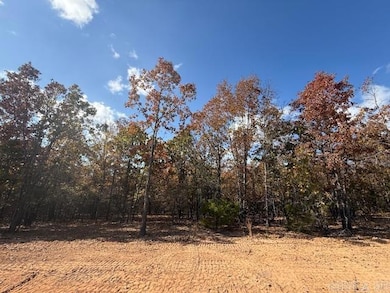 14 Summer Tyme Dr, Greenbrier, AR 72058 - photo 2