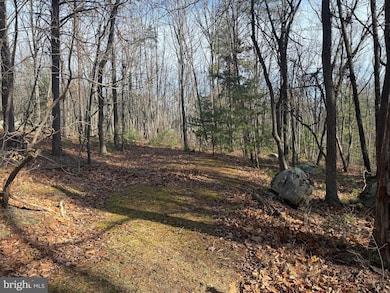 0 5 6 Cooper Mountain View, Capon Bridge, WV 26711 - photo 7