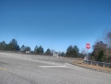 250 Lower Boundary Street at Eisenhower Pkwy, Macon, GA 31206 - photo 4