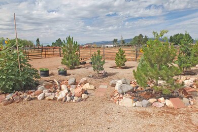 S Side Back Yard